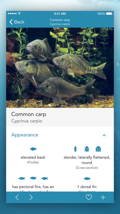 Fishes PRO - Field Guideのおすすめ画像4