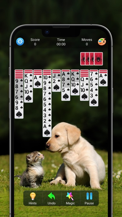 Spider Solitaire (Classic) Screenshot