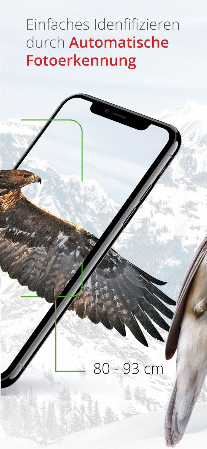 Vogelführer Birdlife Schweiz