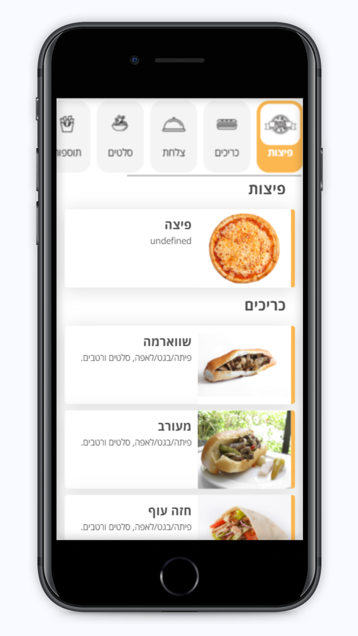 מפגש התאומים