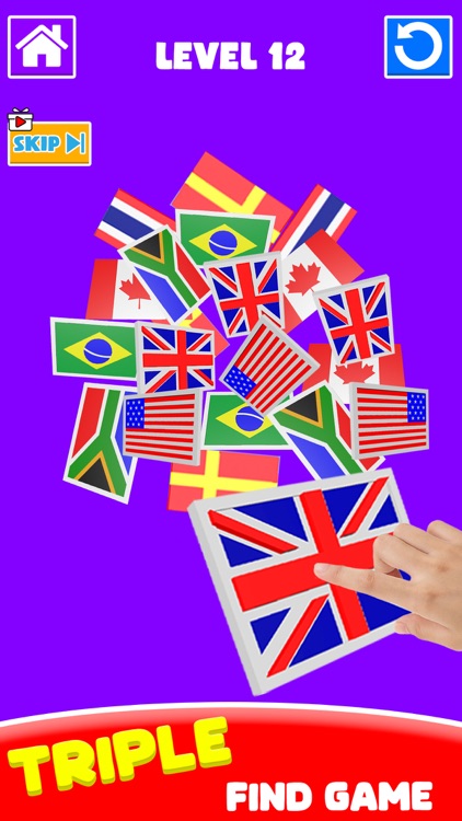 Flag Painting: Puzzle Game 3D screenshot-6