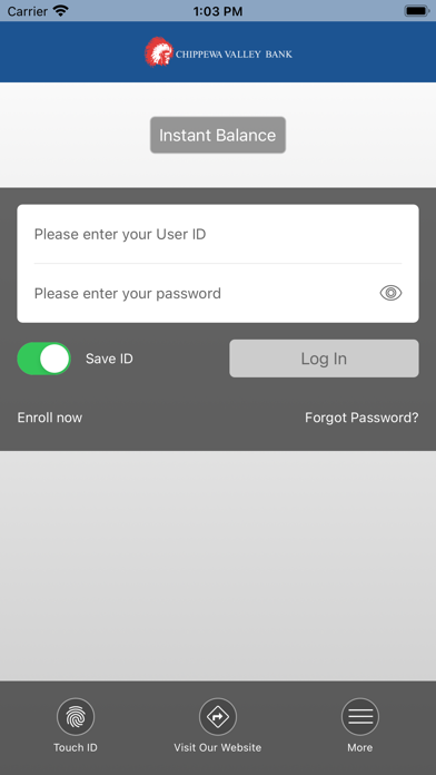 Chippewa Valley Bank Screenshot