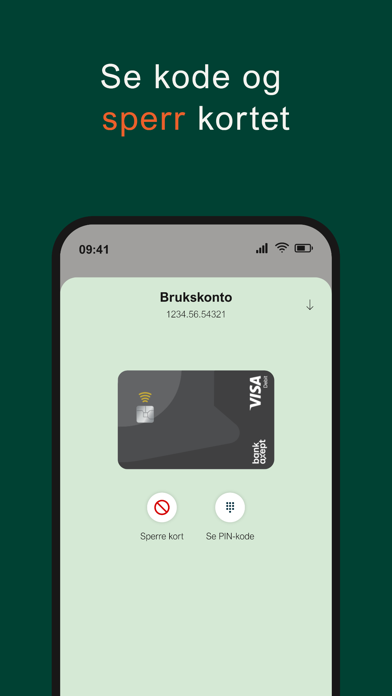 ASbank Screenshot