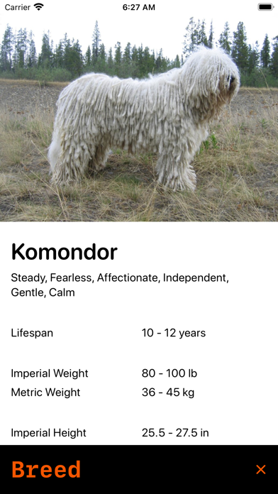 nMore Screenshot