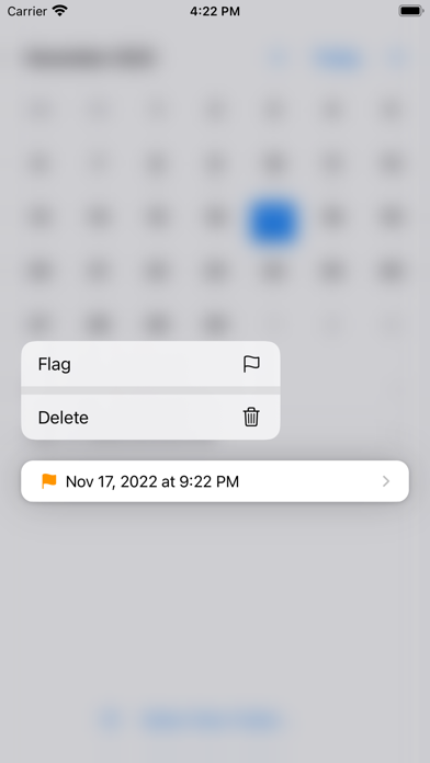 Focus Dashcam Organizer Screenshot