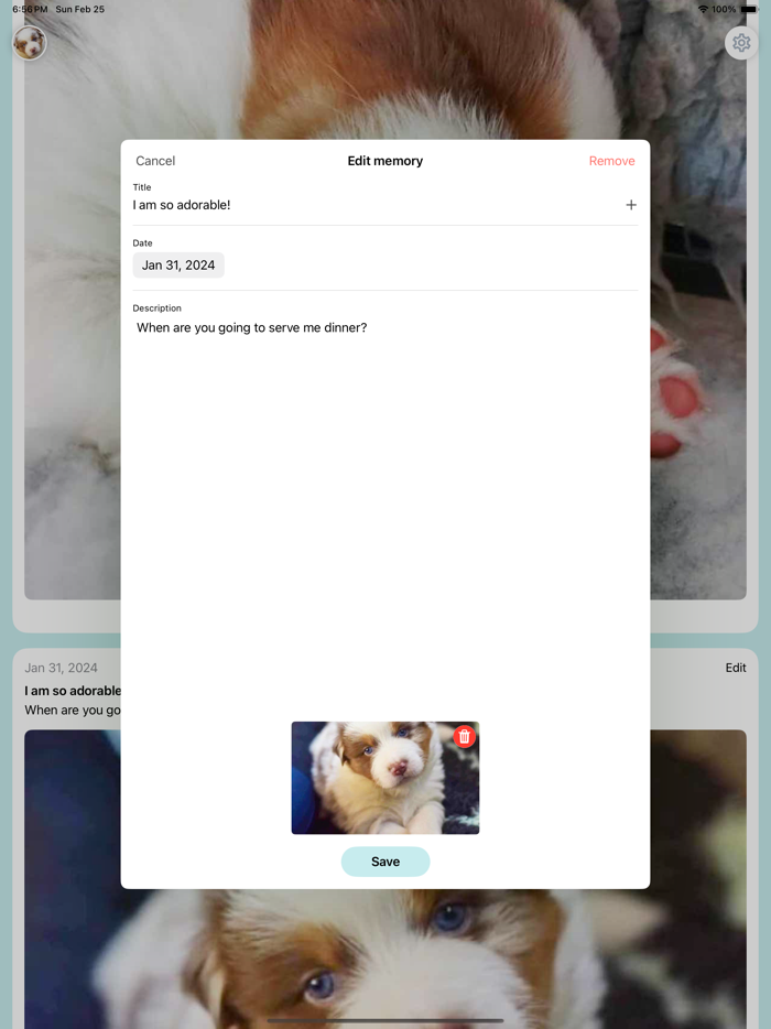 My Dog Diary - Photos