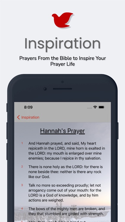 Prayer. A Daily Prayer Journal screenshot-8