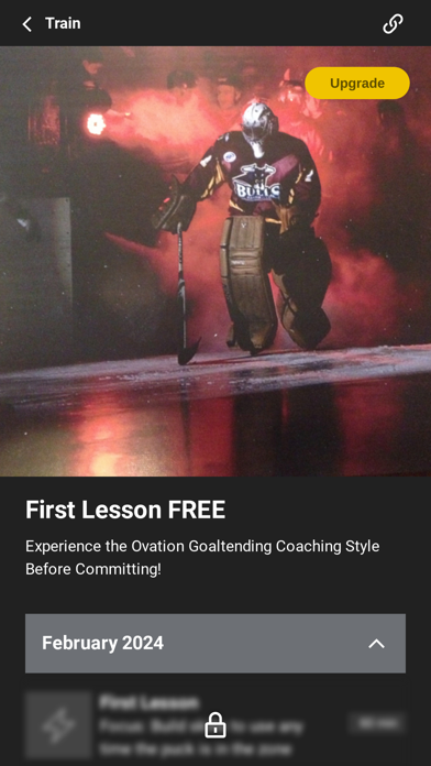 Ovation Goaltending Screenshot