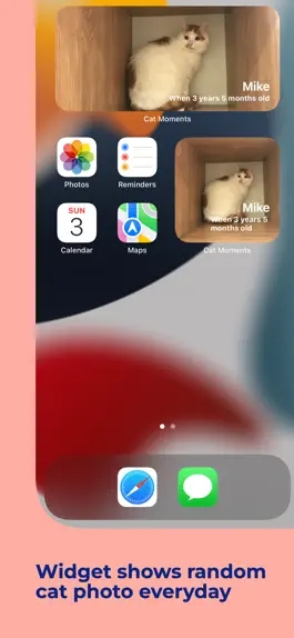 Game screenshot Cat Moments hack