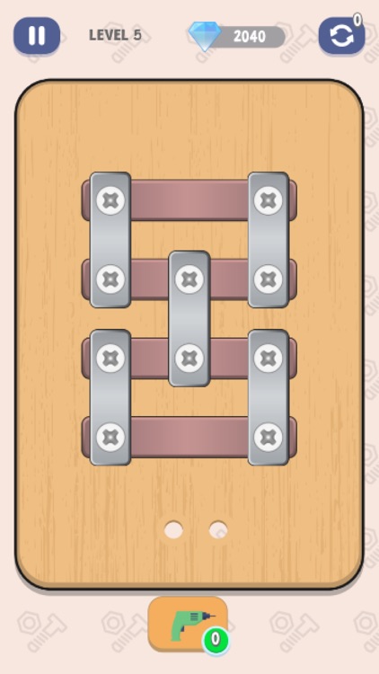 Nuts and Bolts Screw Puzzle