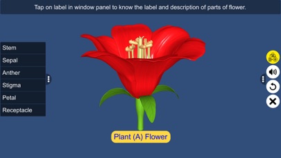 Screenshot #3 pour Pollination in Plants