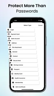 password manager app pro problems & solutions and troubleshooting guide - 1