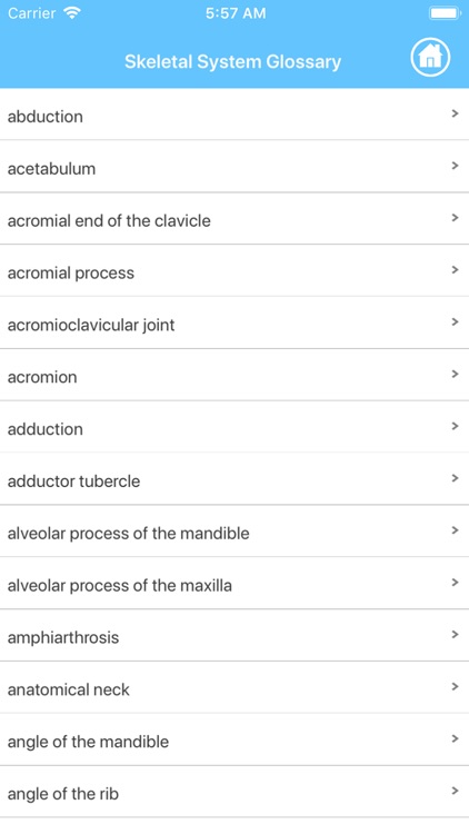 Learn Skeletal System screenshot-9