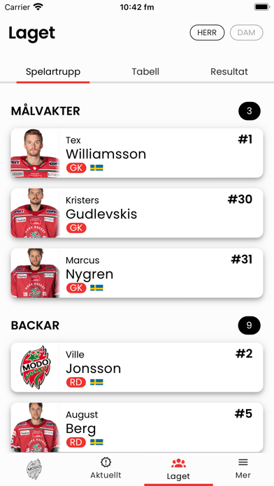 MoDo Hockey Screenshot