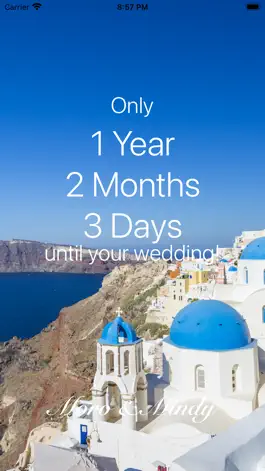 Game screenshot Wedding Countdown Widget apk