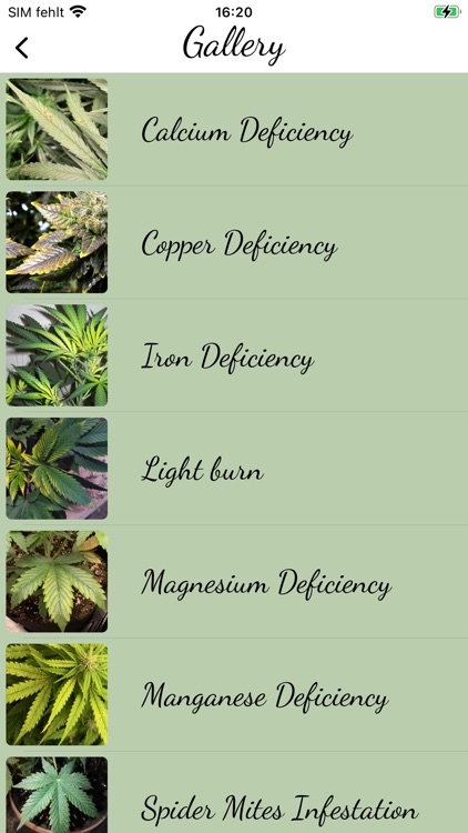 GrowCush screenshot-7
