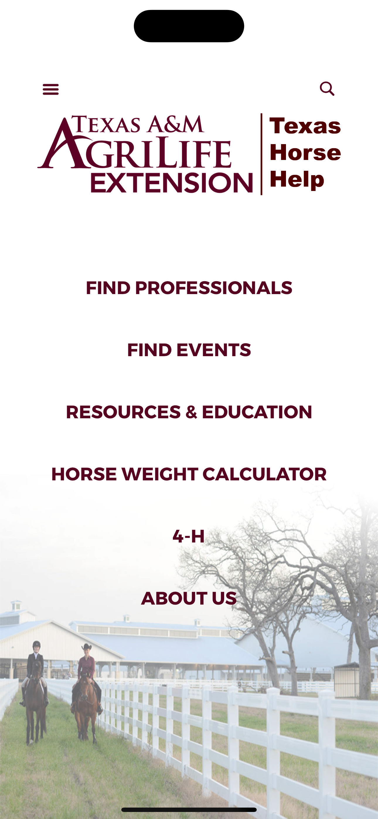 Texas Horse Help