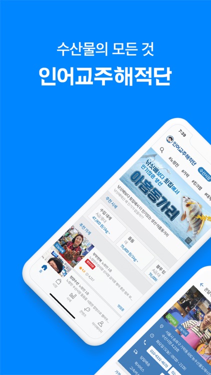 인어교주해적단