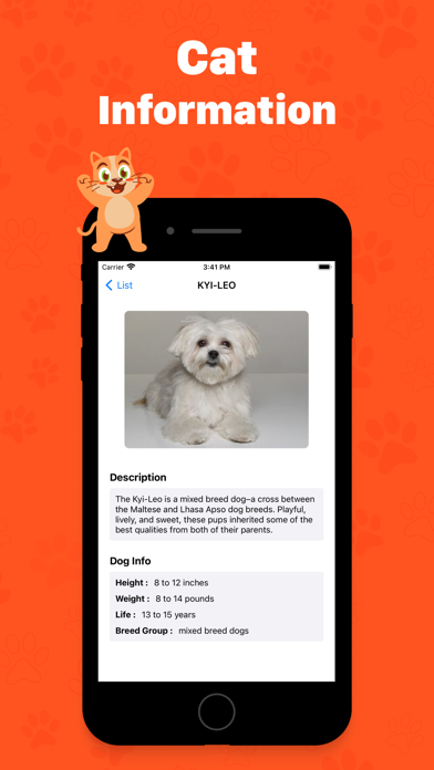 Human to cat translator app Screenshot