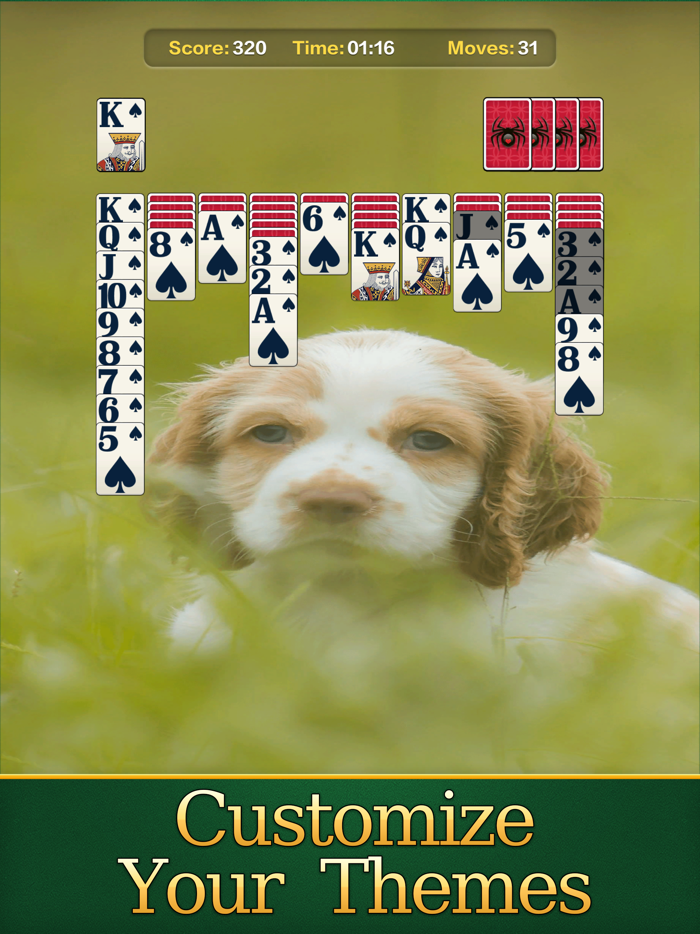 Classic Spider for Seniors