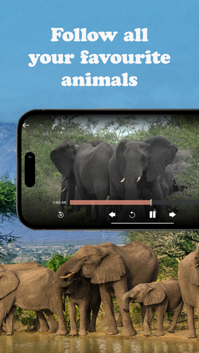 WildEarth TV - Nature Safari Screenshot