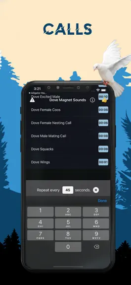 Game screenshot Dove Magnet - Dove Calls hack
