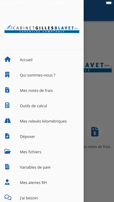 Cabinet Gilles Blavet Screenshot