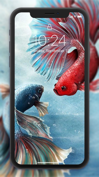 Fish Wallpaper 4D