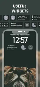 DIY Widgets: Color Lock Screen screenshot #3 for iPhone