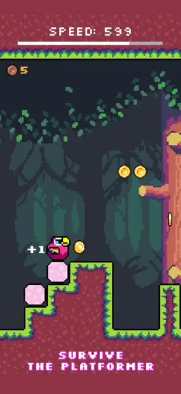 Game screenshot Bird Pixel hack