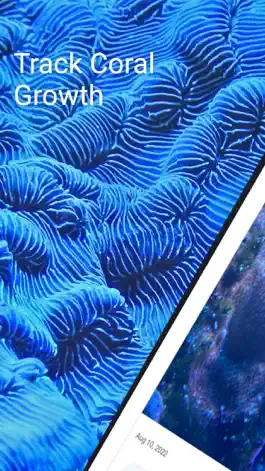 Game screenshot Reef Tracker mod apk