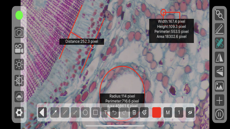 #1. Capture Lite (iOS) Av: 英浩 肖