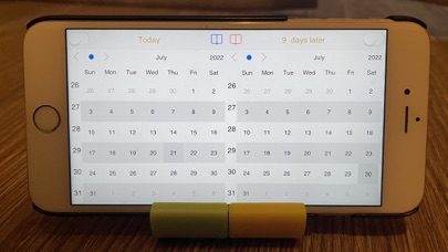 Screenshot #1 pour Dual Calendar - Day Counter