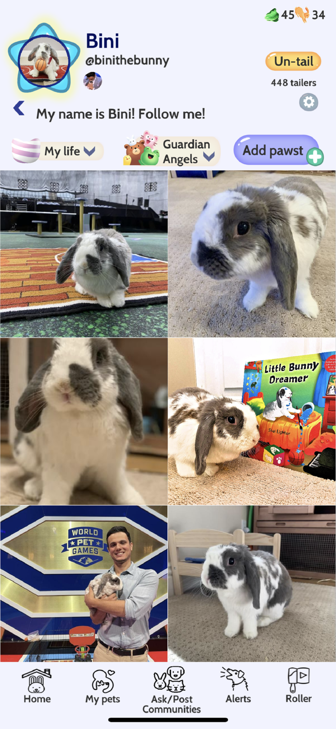 Licky- Social Media for Pets