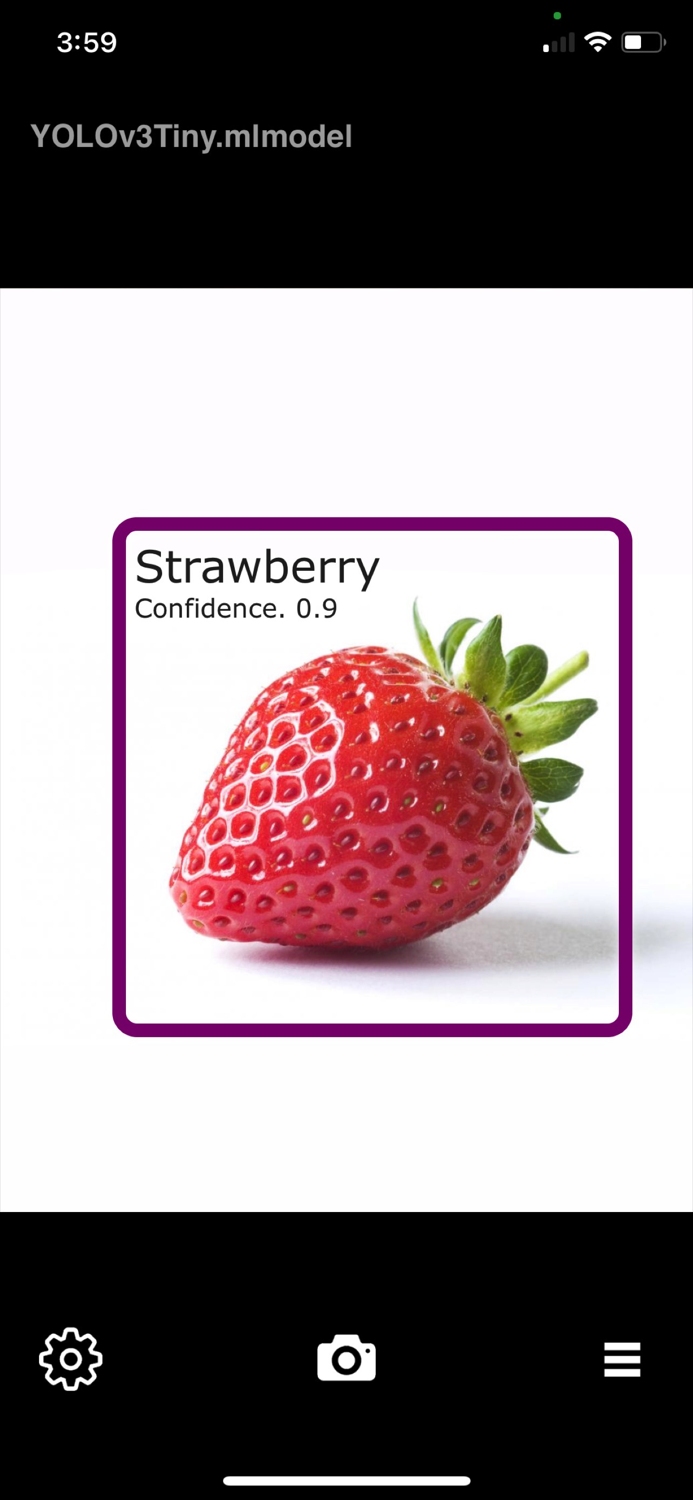 Object Detection Cam