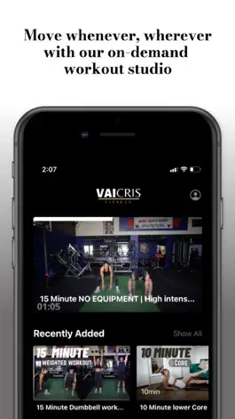 Game screenshot Vaicris hack