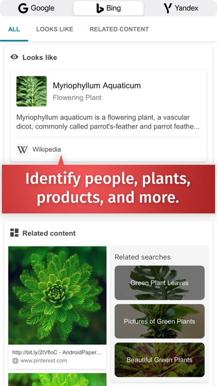 Reverse Image Search – RIMG