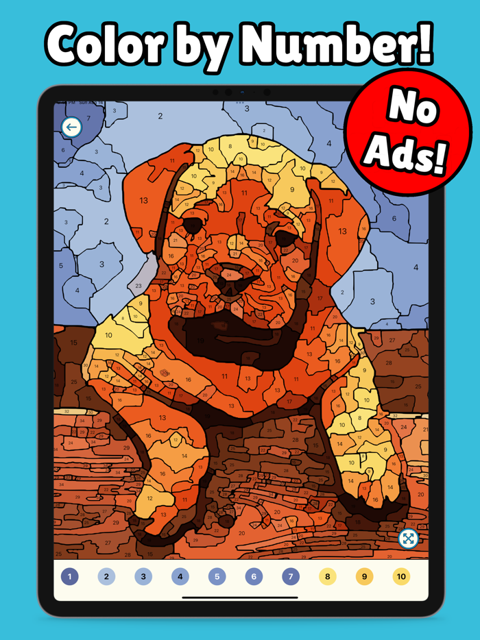 Mega Color - Paint by Number