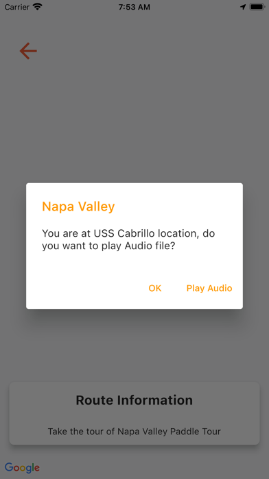 Yak Audio Screenshot