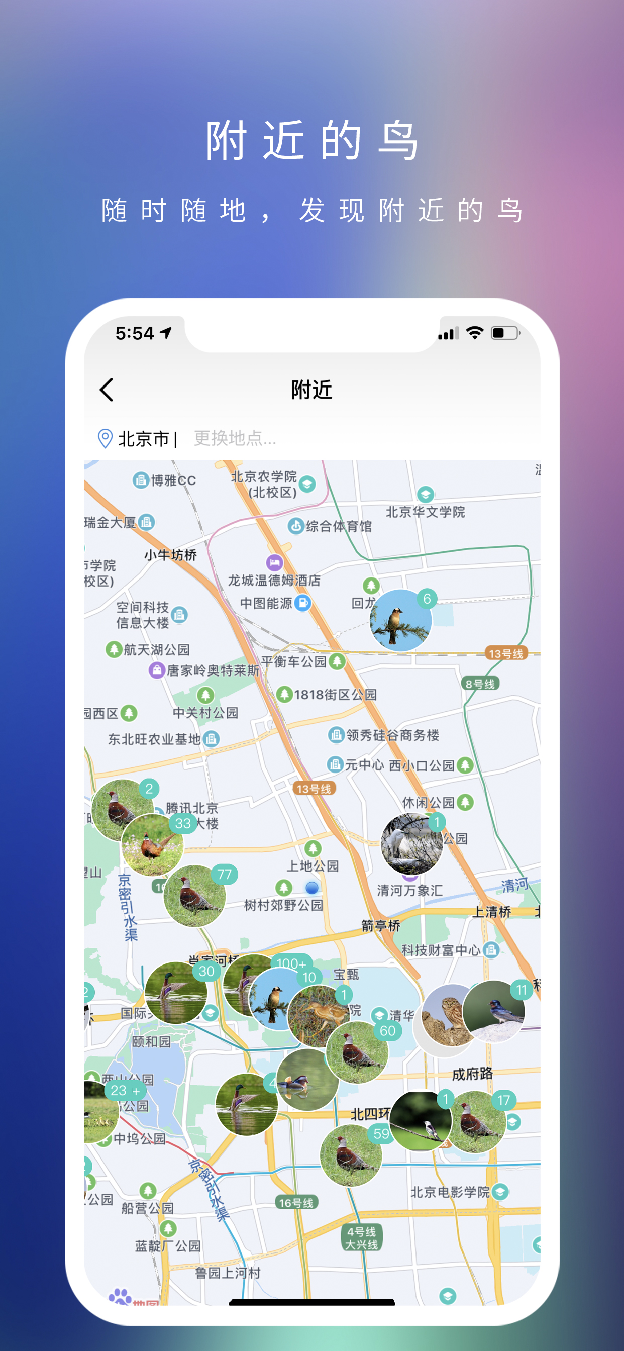 爱鸟国际
