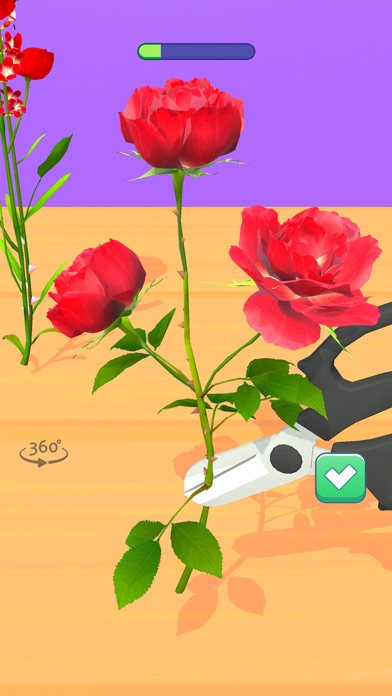 Florist Shop 3D Screenshot