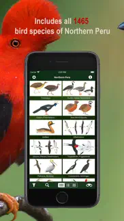 all birds northern peru iphone screenshot 2