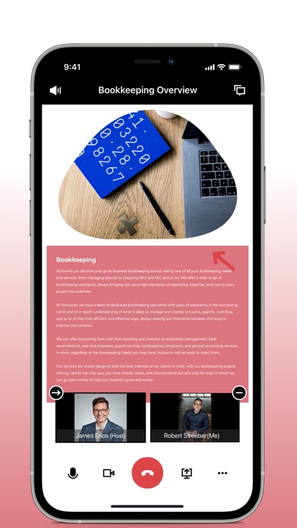Accountis: Portal screenshot-4