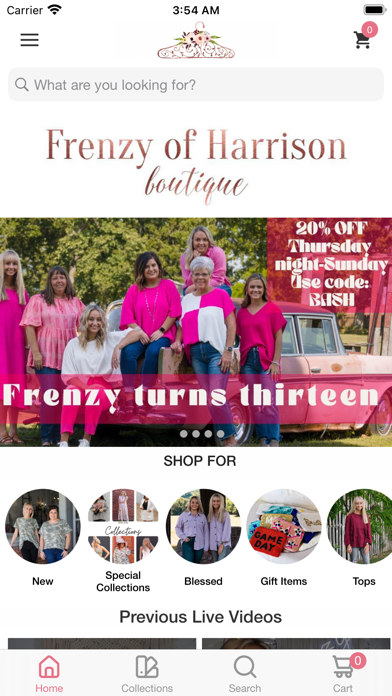 Frenzy of Harrison Boutique Screenshot