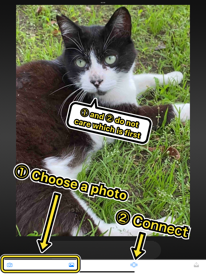 BlueTransLite - Easy sharing