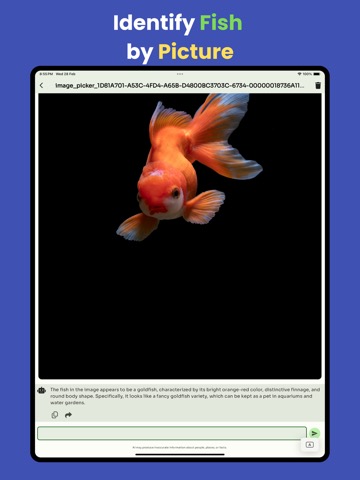 Fish identifier 2024のおすすめ画像1