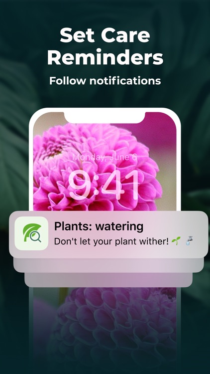 Plant Identifier - FREE of ads