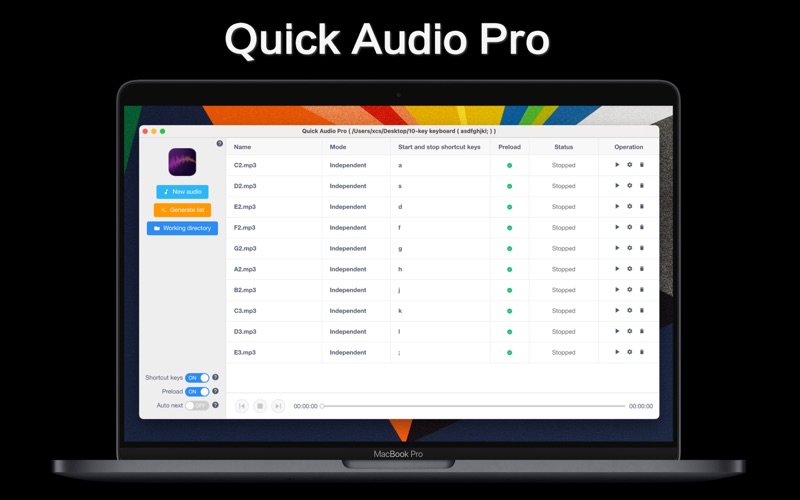 Quick Audio Pro