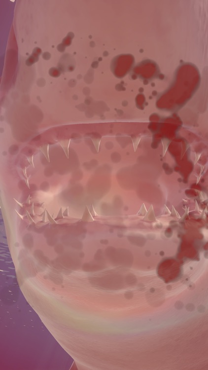 Shark Ocean screenshot-4