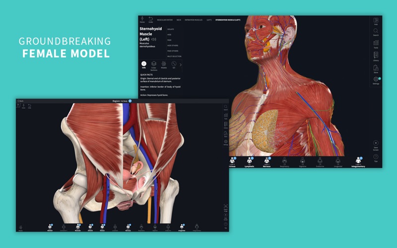 Screenshot #1 for Complete Anatomy 24